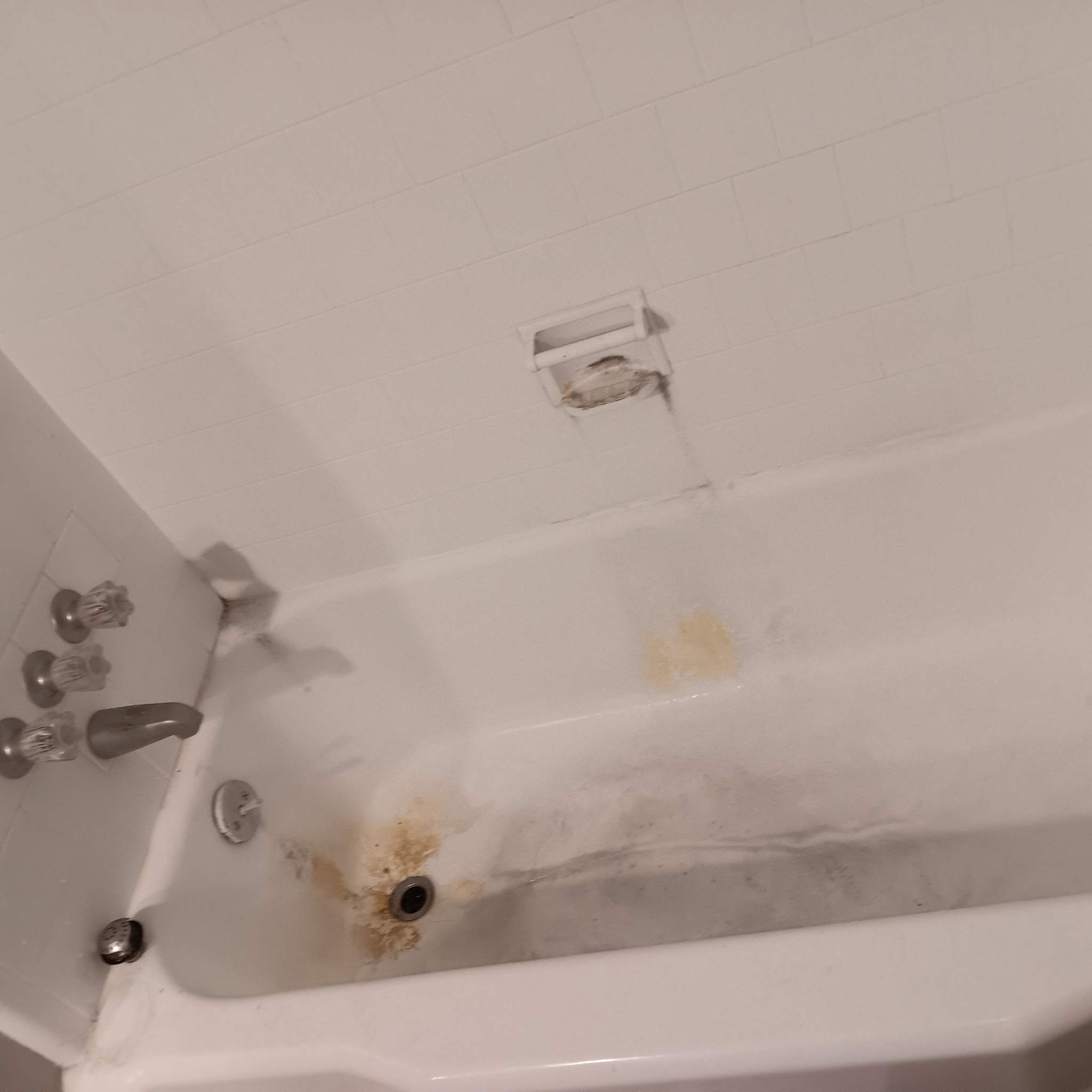 Bathtub Before