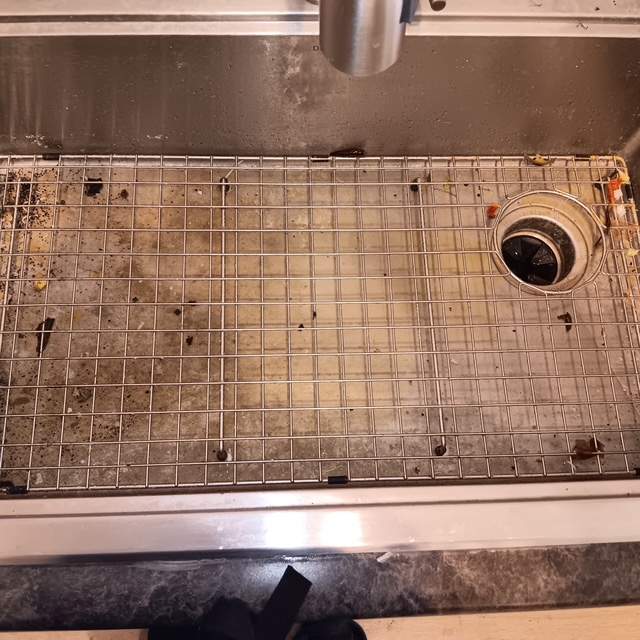 Disgusting Sink Before